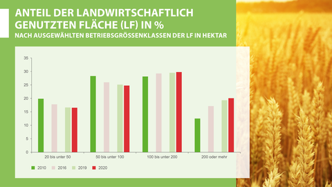 Anteil der landwirtschaftlich genutzten Fläche 2010, 2016, 2019 und 2020 Säulendiagramm: Anteil der landwirtschaftlich genutzten Fläche 2010, 2016, 2019 und 2020