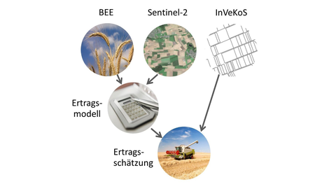 Abbildung 1 Ertragsmodel