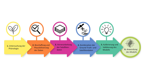 Abbildung 2 Entstehungsprozess