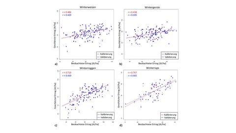Abbildung 3 Wintergetreide