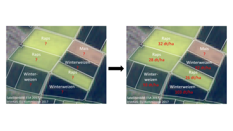Abbildung 4 Satellitbilder von Feldern