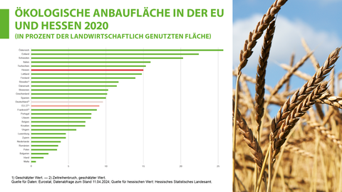 Ökologische Anbaufläche in der EU und Hessen 2020 Ökologische Anbaufläche in der EU und Hessen 2020
