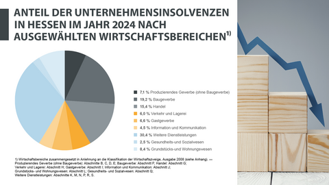 Grafik, Insolvenzen, 2024 Anteil der Unternehmensinsolvenzen in Hessen im Jahr 2024 nach ausgewählten Wirschaftsbereichen