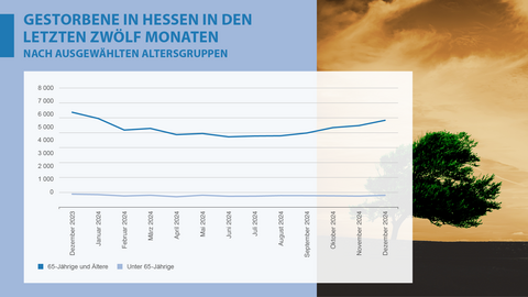 Grafik, Bevölkerung, Gestorbene Gestorbene in Hessen in den letzten zwölf Monaten nach ausgewählten Altersgruppen, Dezember 2024