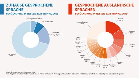 Grafik, Kreisdiagramm, Privathaushalte nach der vorwiegend gesprochenen Sprache im Haushalt Privathaushalte nach der vorwiegend gesprochenen Sprache im Haushalt in Hessen